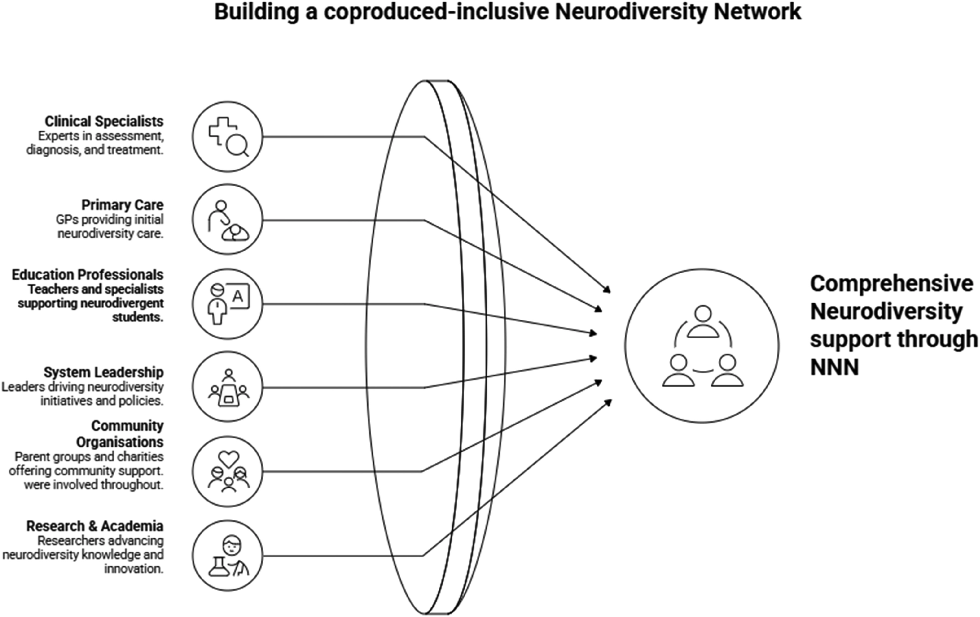 Figure showing the different groups that have come together to form the NNN network