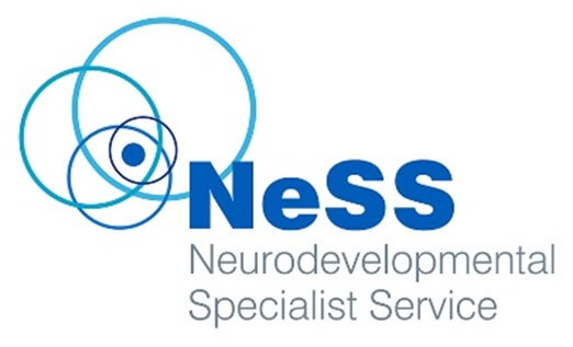 Ness logo 3